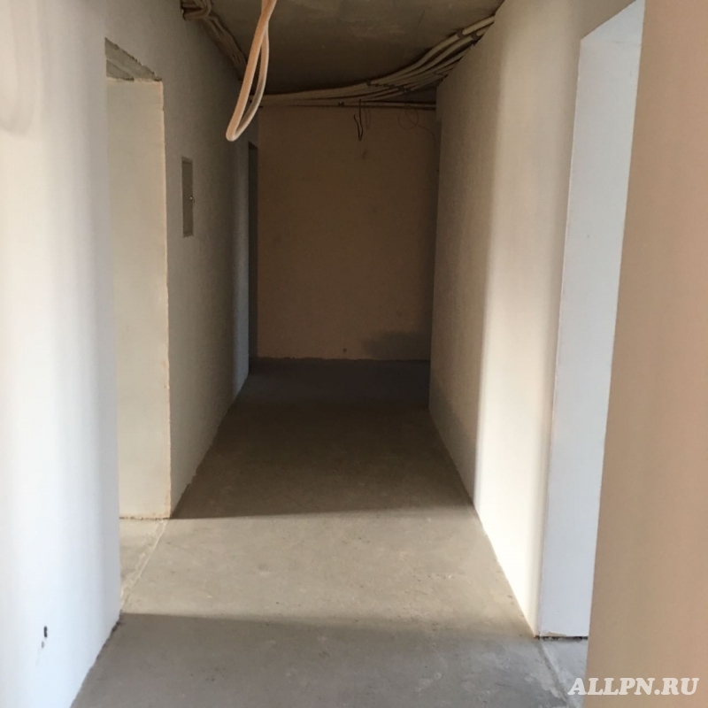    202    -  ,   -