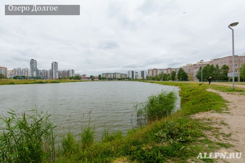 Продам хорошую 3-к. квартиру рядом с Долгим озером, пр-т Королева, 34к1 - Жилая недвижимость, Продажа квартир Санкт-Петербург